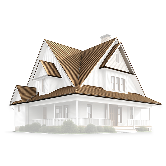 Modern home with roof